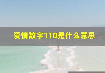 爱情数字110是什么意思