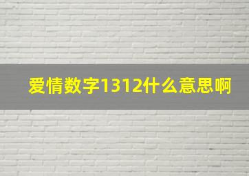 爱情数字1312什么意思啊