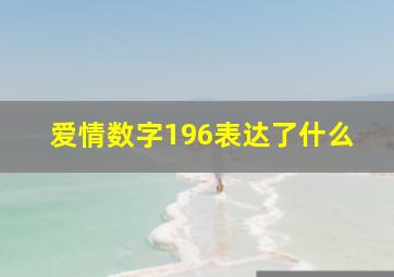 爱情数字196表达了什么