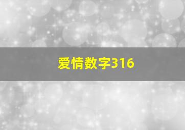 爱情数字316