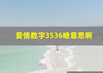 爱情数字3536啥意思啊