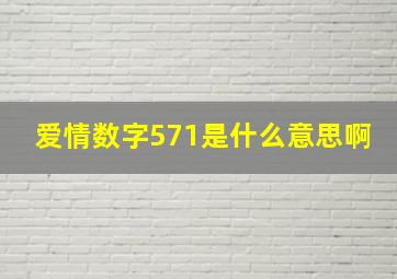 爱情数字571是什么意思啊