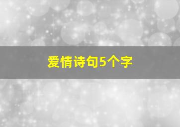 爱情诗句5个字