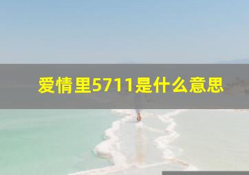 爱情里5711是什么意思