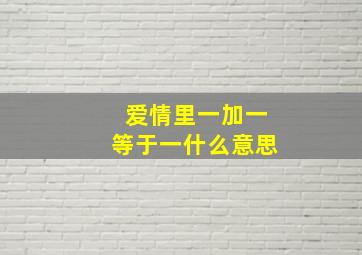 爱情里一加一等于一什么意思