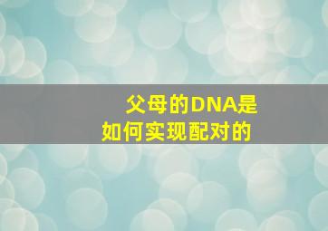 父母的DNA是如何实现配对的