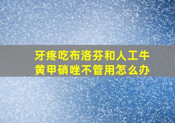 牙疼吃布洛芬和人工牛黄甲硝唑不管用怎么办