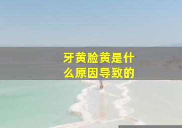 牙黄脸黄是什么原因导致的