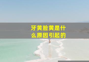 牙黄脸黄是什么原因引起的