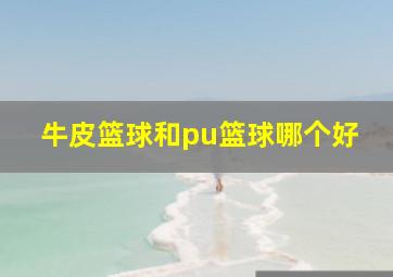 牛皮篮球和pu篮球哪个好