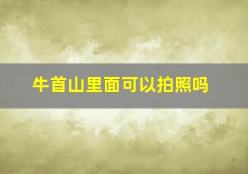 牛首山里面可以拍照吗