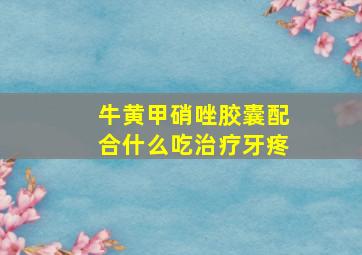 牛黄甲硝唑胶囊配合什么吃治疗牙疼