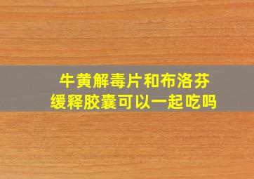 牛黄解毒片和布洛芬缓释胶囊可以一起吃吗