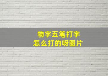 物字五笔打字怎么打的呀图片