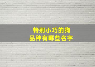 特别小巧的狗品种有哪些名字