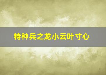 特种兵之龙小云叶寸心