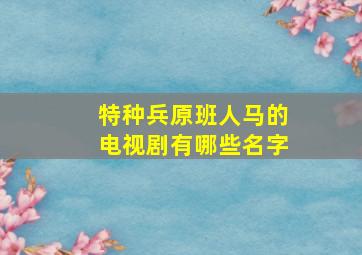 特种兵原班人马的电视剧有哪些名字