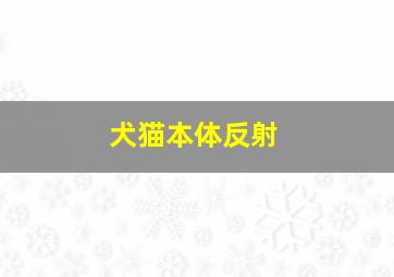 犬猫本体反射