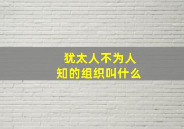 犹太人不为人知的组织叫什么