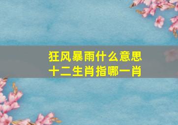 狂风暴雨什么意思十二生肖指哪一肖