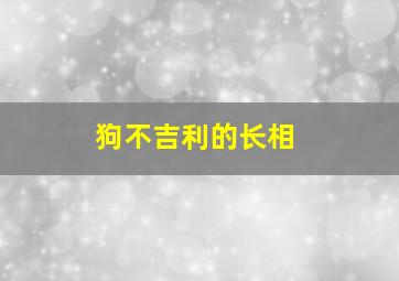 狗不吉利的长相