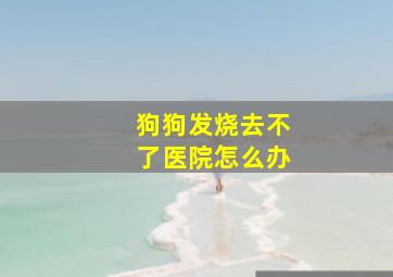 狗狗发烧去不了医院怎么办