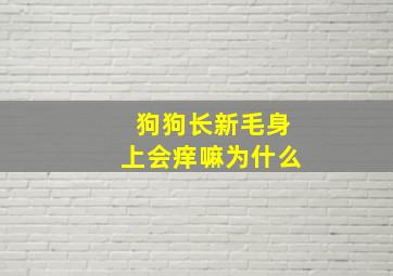 狗狗长新毛身上会痒嘛为什么