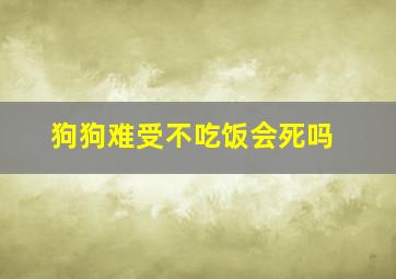 狗狗难受不吃饭会死吗