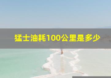 猛士油耗100公里是多少