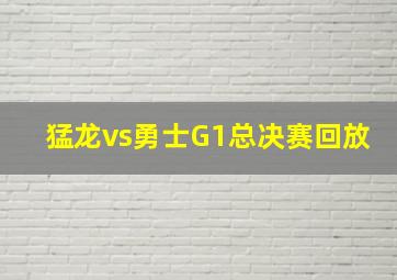 猛龙vs勇士G1总决赛回放