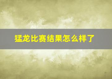 猛龙比赛结果怎么样了