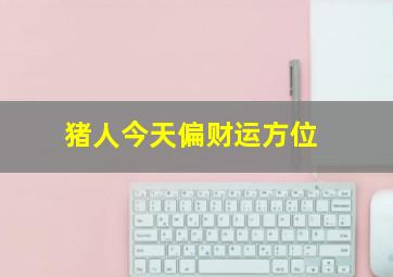 猪人今天偏财运方位