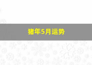 猪年5月运势