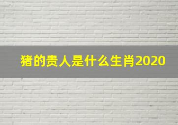 猪的贵人是什么生肖2020