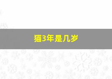 猫3年是几岁