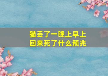 猫丢了一晚上早上回来死了什么预兆