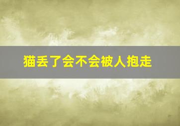 猫丢了会不会被人抱走