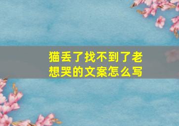 猫丢了找不到了老想哭的文案怎么写