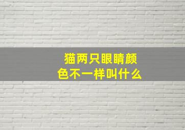 猫两只眼睛颜色不一样叫什么