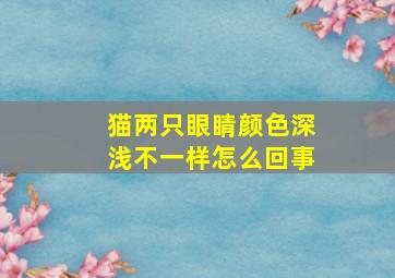 猫两只眼睛颜色深浅不一样怎么回事