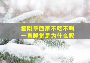 猫刚拿回家不吃不喝一直睡觉是为什么呢