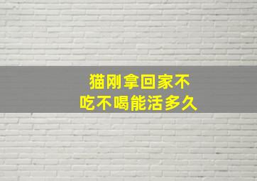 猫刚拿回家不吃不喝能活多久