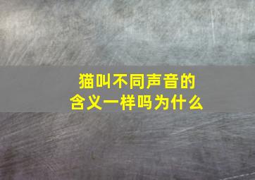 猫叫不同声音的含义一样吗为什么