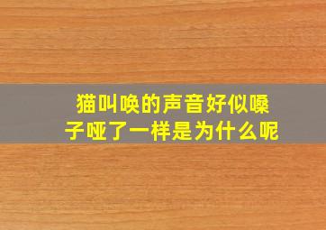 猫叫唤的声音好似嗓子哑了一样是为什么呢