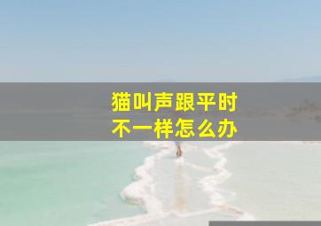 猫叫声跟平时不一样怎么办