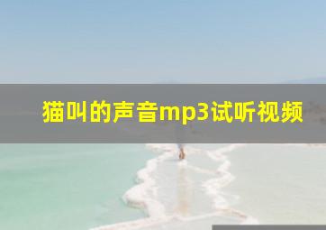 猫叫的声音mp3试听视频