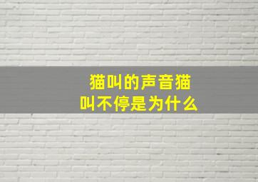 猫叫的声音猫叫不停是为什么