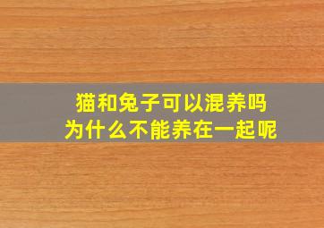 猫和兔子可以混养吗为什么不能养在一起呢