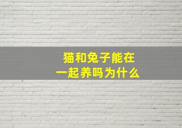 猫和兔子能在一起养吗为什么