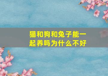 猫和狗和兔子能一起养吗为什么不好